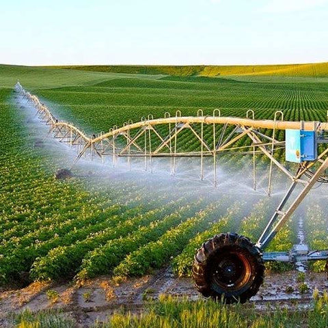 Ứng dụng công nghệ xanh vào nông nghiệp mở ra nhiều cơ hội cho các nhà khởi nghiệp.