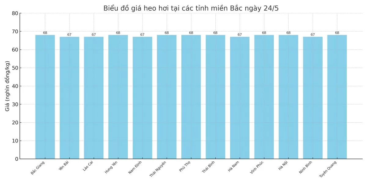 Biểu đồ giá heo hơi tại các tỉnh miền Bắc ngày 24/5.