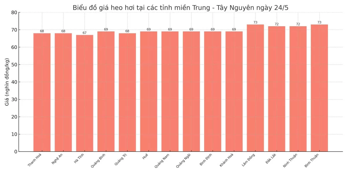 Biểu đồ giá heo hơi tại các tỉnh miền Trung - Tây Nguyên ngày 24/5.