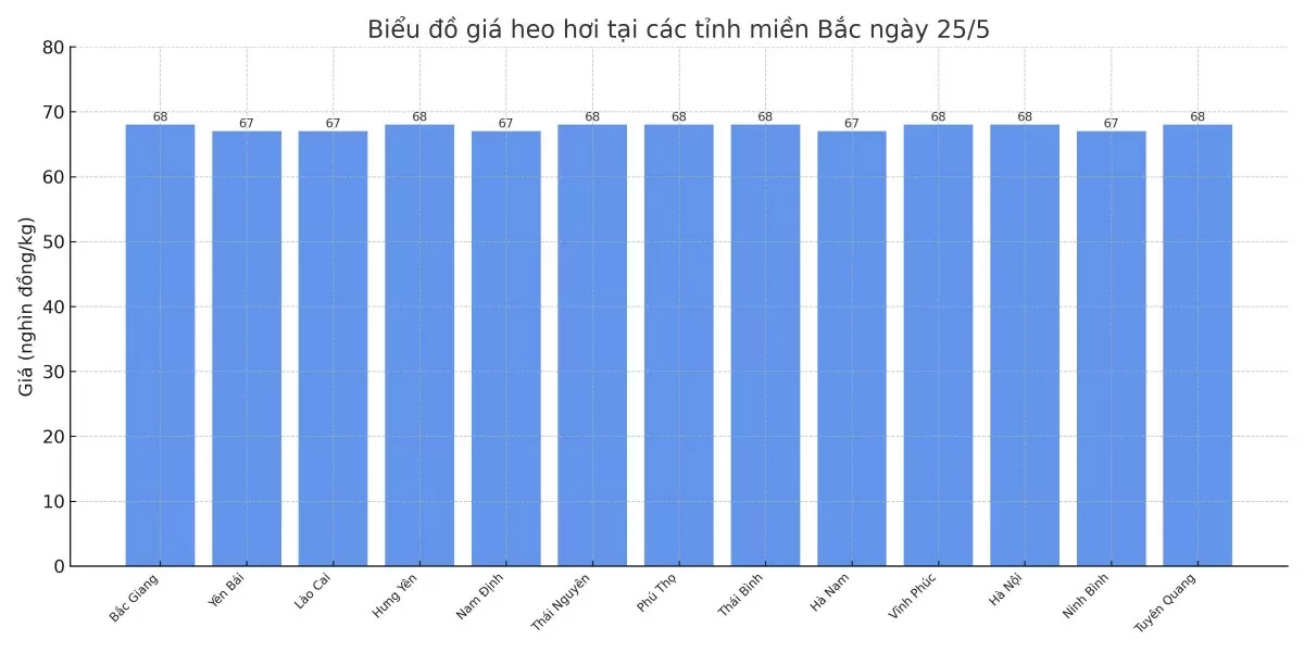 Biểu đồ giá heo hơi tại các tỉnh miền Bắc ngày 25/5.