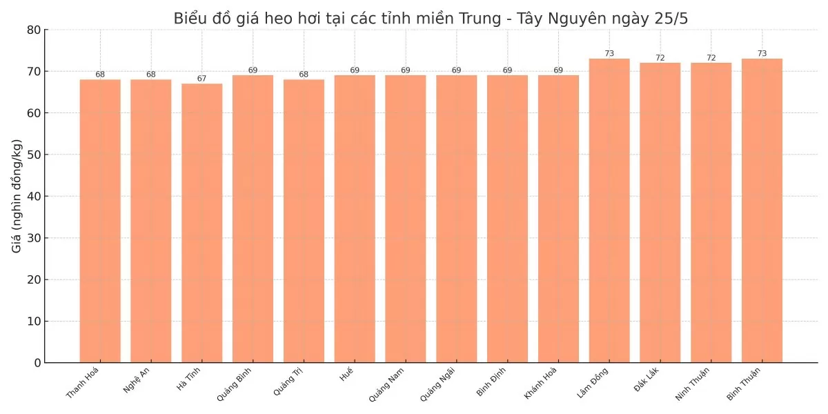 Biểu đồ giá heo hơi tại các tỉnh miền Trung - Tây Nguyên ngày 25/5.