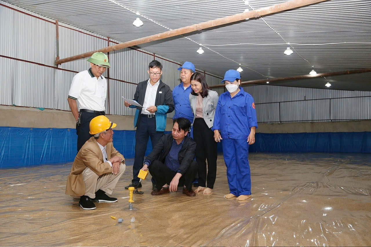 Ngành DTNN tăng cường công tác tự kiểm tra nội bộ góp phần nâng cao chất lượng quản lý nhà nước.