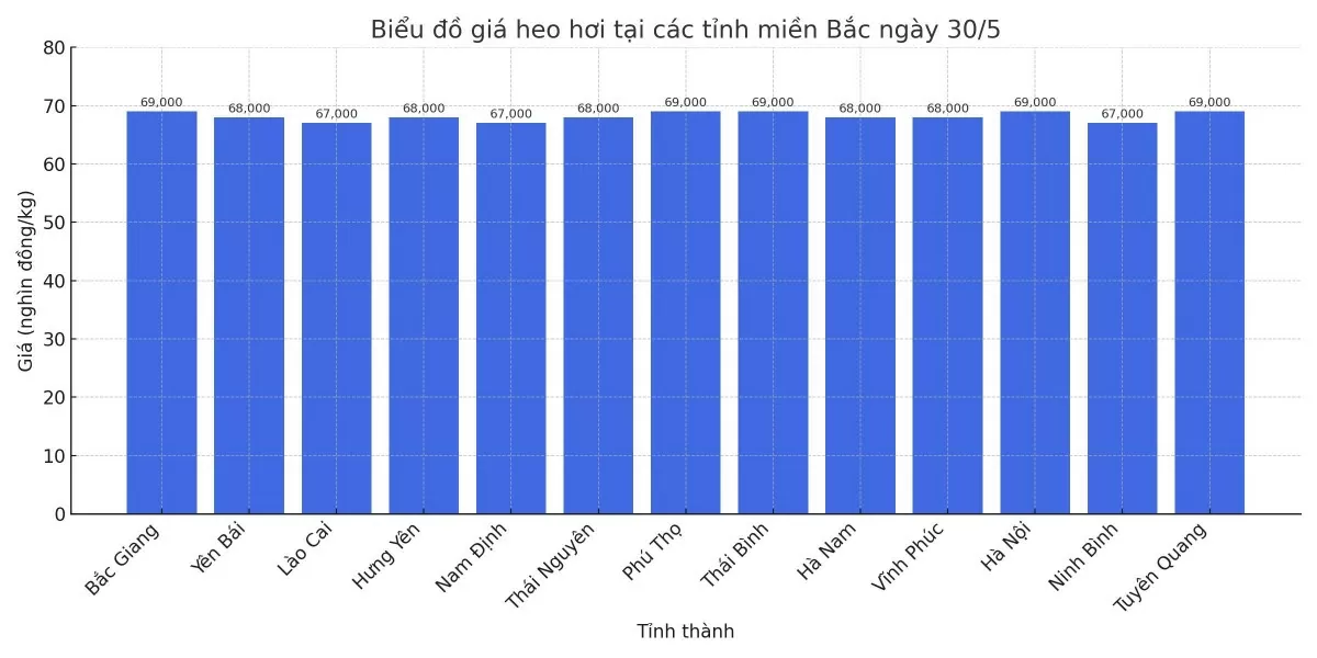 Biểu đồ giá heo hơi tại các tỉnh miền Bắc ngày 30/5.