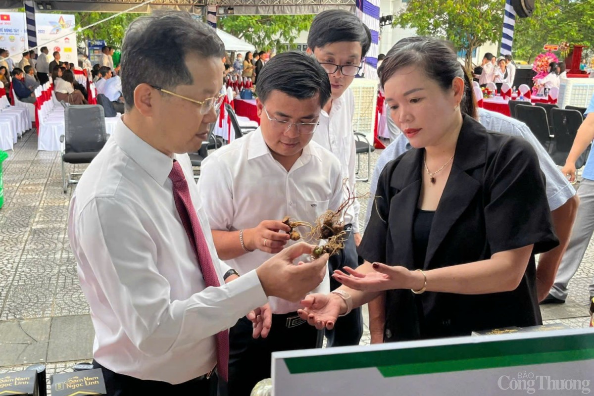 Phát triển công nghiệp dược liệu miền Trung, Tây Nguyên: Kỳ vọng