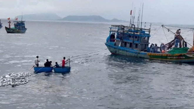 Tàu cá ở Quảng Ngãi chìm trên biển, 11 ngư dân được cứu
