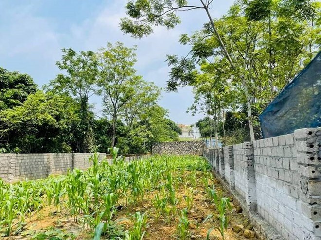 4 khu vực giáp ranh Hà Nội có giá đất nền tăng mạnh nhất hơn 1 năm qua