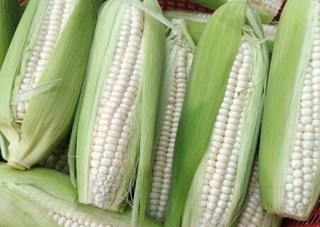 Cách ăn ngô không làm tăng đường huyết