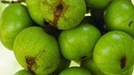 Loại quả có thể hỗ trợ kiểm soát đường huyết tự nhiên
