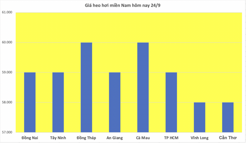 Giá heo hơi hôm nay 24/9/2025: Tiếp tục giảm nhẹ  - 3