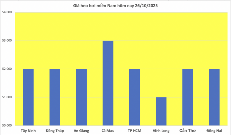Giá heo hơi hôm nay 26/10/2025: Trầm lắng phiên cuối tuần - 3
