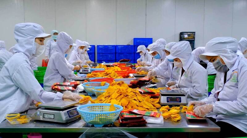 Cơ cấu xuất nhập khẩu hàng hóa giữa hai nước Việt Nam - Israel mang tính bổ trợ, không cạnh tranh nhau. Ảnh: Nguyễn Hằng