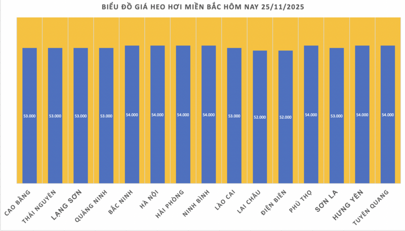 Giá heo hơi hôm nay 25/11/2025: Đồng loạt tăng - 1