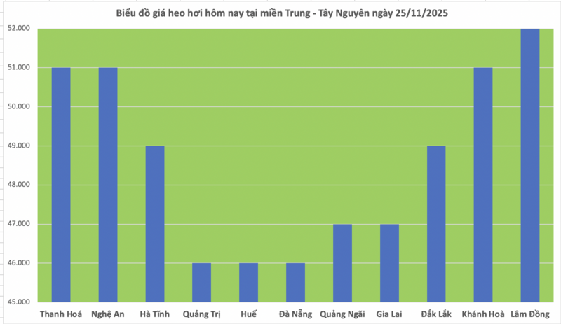 Giá heo hơi hôm nay 25/11/2025: Đồng loạt tăng - 2