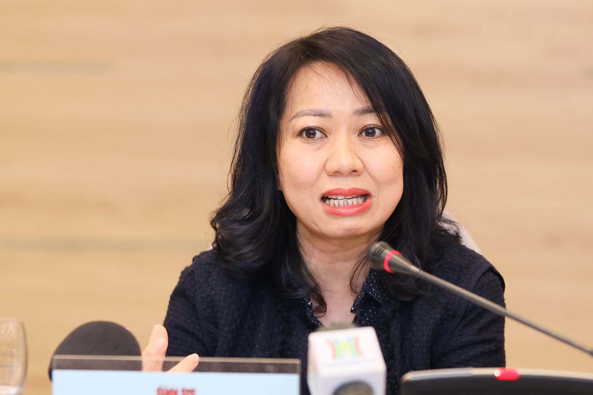 Đại diện Sở Nông nghiệp và Môi trường Hà Nội cho rằng để cải thiện tình trạng ô nhiễm không khí, Hà Nội cần nỗ lực gấp đôi, gấp ba. Ảnh: Phương Anh