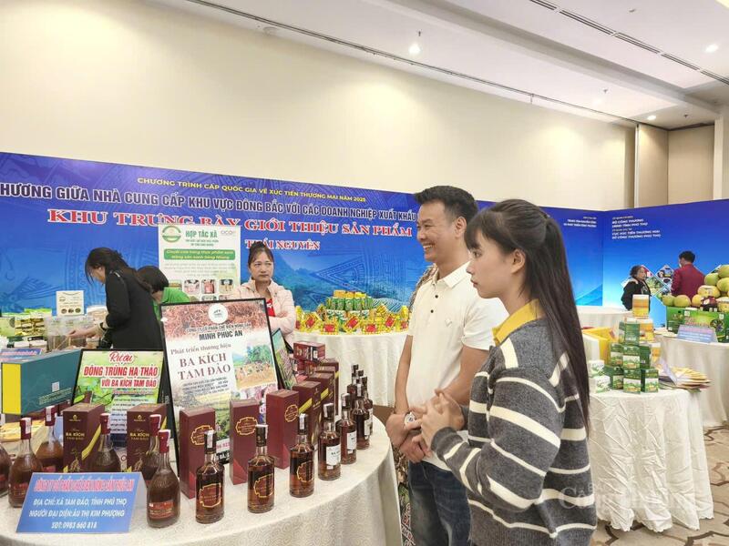 Sản phẩm OCOP trưng bày tại hội nghị.