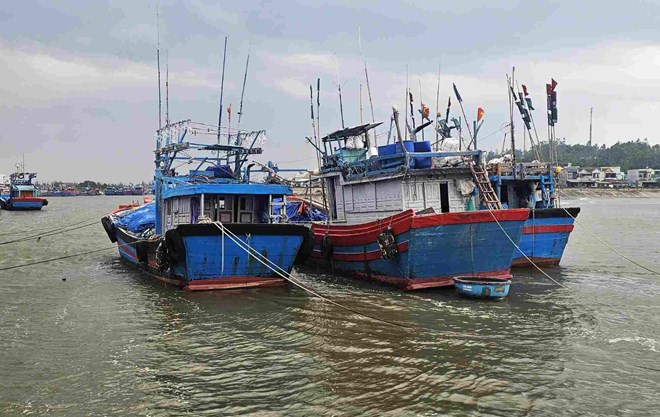 Quảng Ngãi có cả vạn hộ dân ven biển thuộc diện nguy cơ cao  trước bão số 15