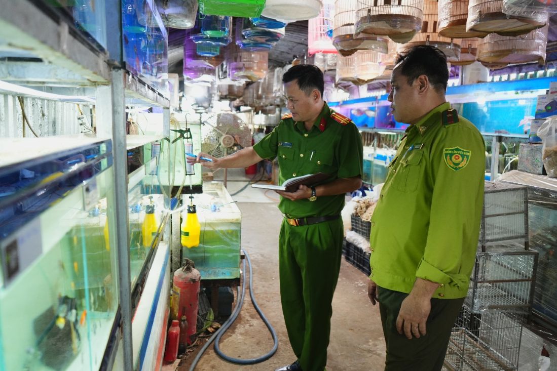 Lực lượng liên ngành TP Cần Thơ ra quân kiểm tra về động vật hoang dã và nguồn lợi thủy sản. Ảnh: Công an TP Cần Thơ