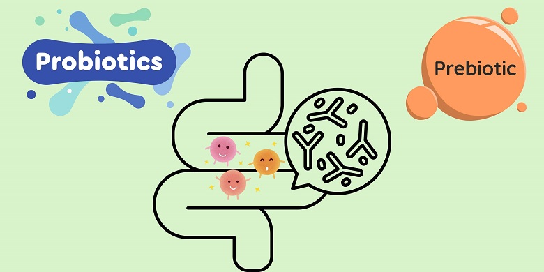 Sự khác nhau giữa probiotic và prebiotic. Đồ họa: Bảo Anh