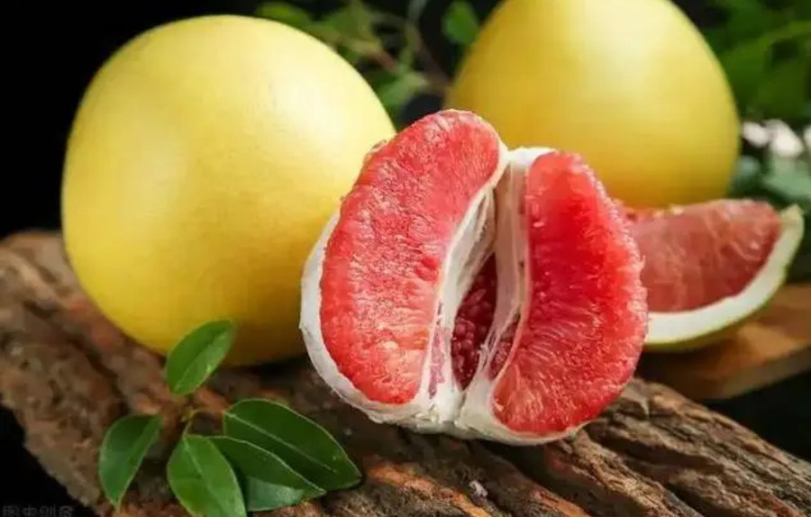 Các chất hóa học thực vật tự nhiên trong bưởi, như flavonoid và naringin giúp làm sạch các độc tố và dịch dư thừa tích tụ trong phổi, thúc đẩy sự sạch sẽ của đường hô hấp. (Ảnh: ITN) 2-cac-chat-hoa-hoc-thuc-vat.jpg