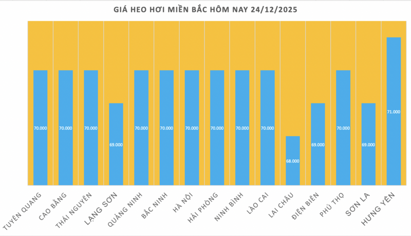 Giá heo hơi hôm nay 24/12/2025: Tăng đồng loạt, lập đỉnh mới - 1