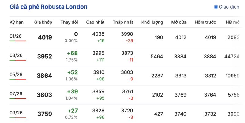 Giá cà phê hôm nay 31/12/2025: Đảo chiều tăng trở lại - 1