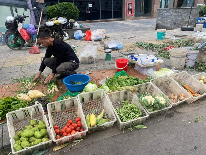 Lao động tham gia việc làm linh hoạt: Làm hôm nay, rủi ro ngày mai