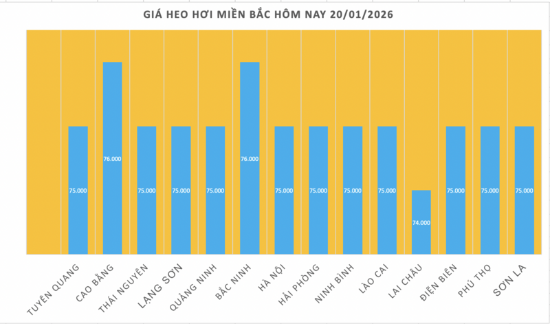 Giá heo hơi hôm nay 20/1/2026: Tiếp đà tăng tại nhiều nơi - 1