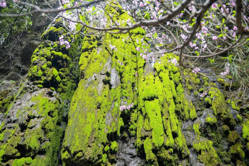 Khu vực du khách xin nước thánh cũng được trang trí, chỉnh trang với không gian tươi mới. Ảnh: Quách Du