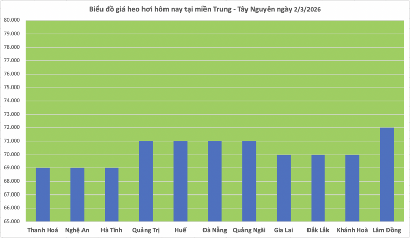 Giá heo hơi hôm nay 2/3/2026: Giữ đà bình ổn - 2