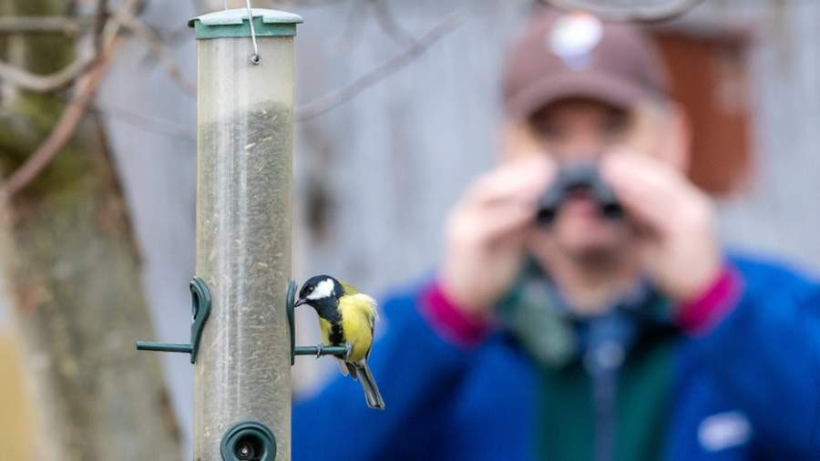 Lợi ích bất ngờ của việc ngắm chim