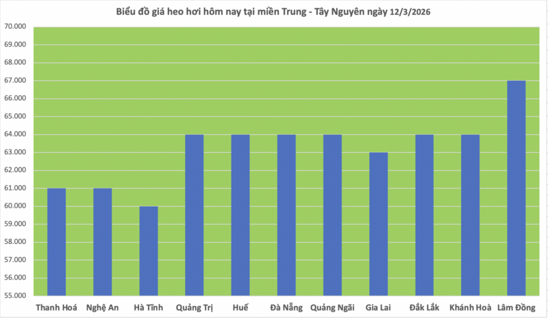 Giá heo hơi hôm nay 12/3/2026: Biến động trái chiều - 2