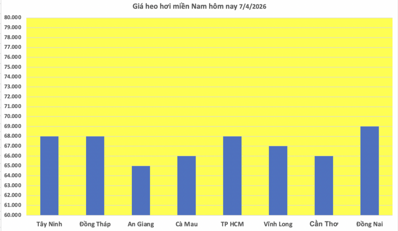 Giá heo hơi hôm nay 7/4/2026: Tăng nhẹ vài nơi - 3