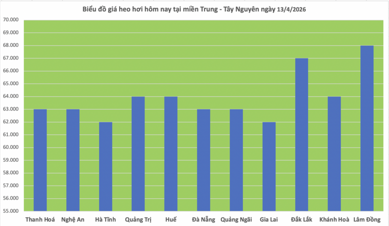 Giá heo hơi hôm nay 13/4/2026: Tạm chững phiên đầu tuần - 2