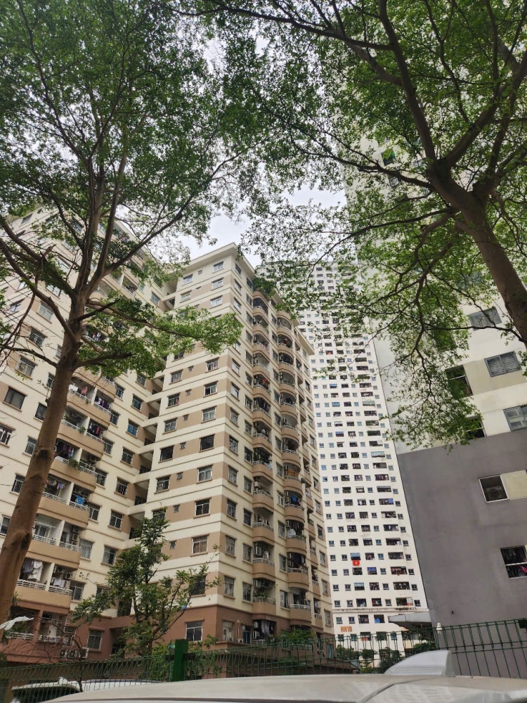 Thị trường căn hộ chung cư quý I/2026: Lệch cung, căn hộ hạng A áp đảo