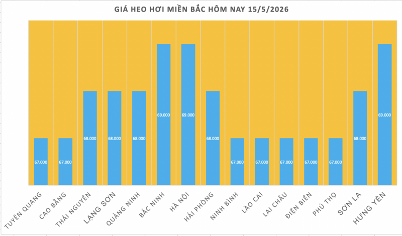 Giá heo hơi hôm nay 15/5/2026: Giữ đỉnh 71.000 đồng/kg - 1