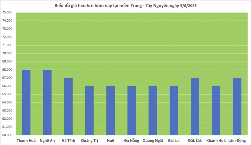 Giá heo hơi hôm nay 3/6/2026: Đi ngang trên cả nước - 2