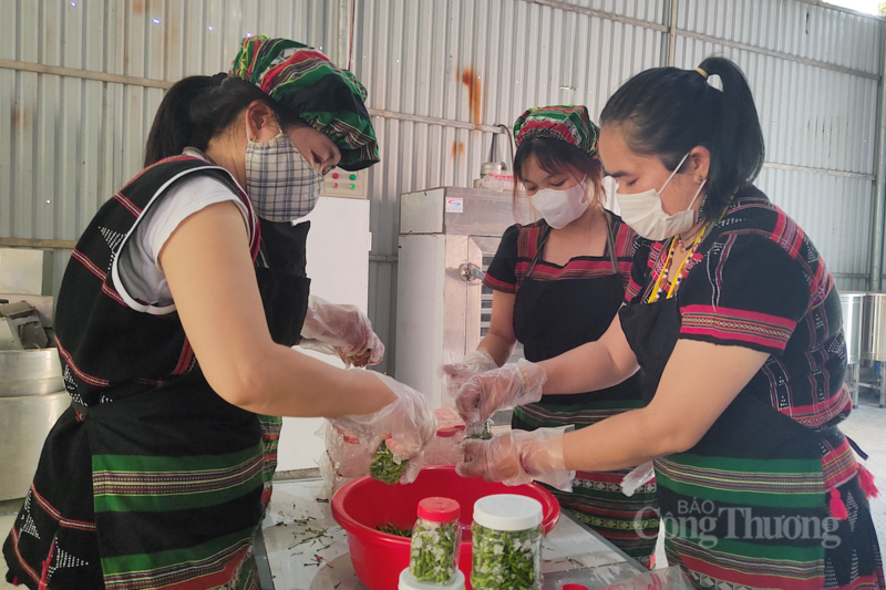 Đại diện Hợp tác xã Du lịch dựa vào cộng đồng Cơ Tu – Nam Giang mong muốn sẽ có sự hỗ trợ về đầu tư máy móc để sơ chế, chế biến, đóng gói và làm nhãn mác cho các sản phẩm miền núi.