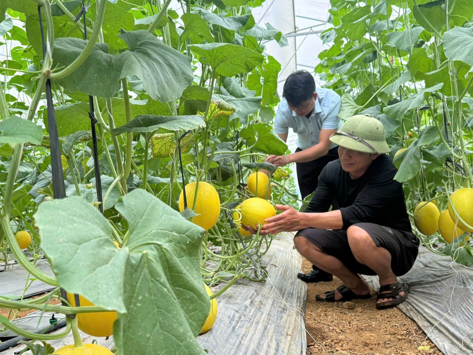 Tạo động lực mới cho phát triển nông thôn, giảm nghèo bền vững ở Lai Châu Tạo động lực mới cho phát triển nông thôn, giảm nghèo bền vững ở Lai Châu
