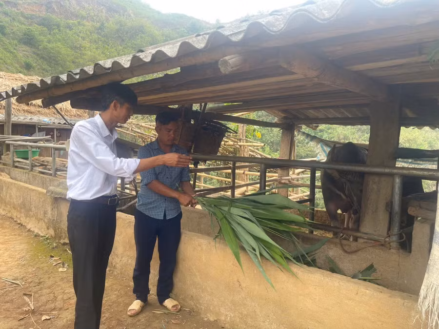 Ông Phạm Văn Khiêm (bìa phải) hướng dẫn Giàng A Vả tập trung chăn nuôi theo hướng nuôi nhốt thay vì thả rông gia súc như trước đây. nha-giao-giu-binh-yen-noi-cuc-tay-2.jpg