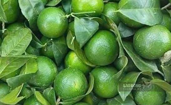Lý do nước chanh hỗ trợ chức năng gan và cách dùng đúng