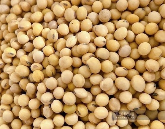 Loại tinh bột có lợi cho gan