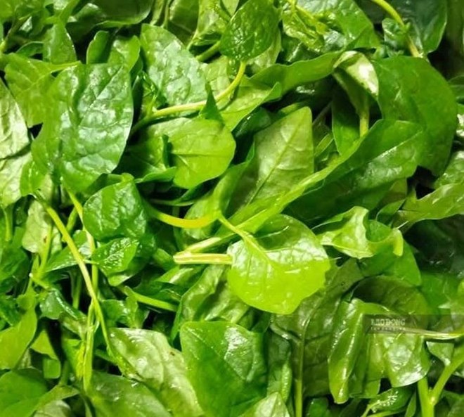 Mức độ rau mồng tơi tốt cho gan