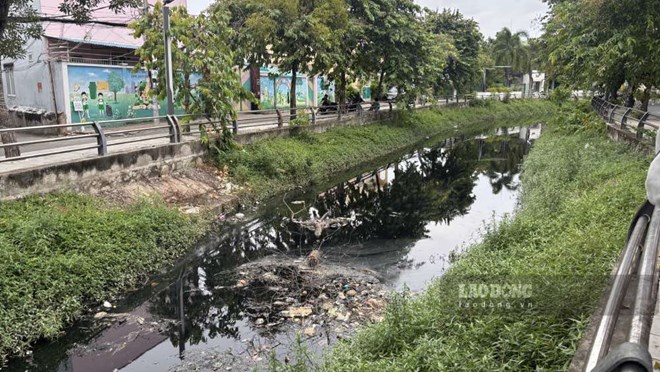 Chờ ngày cải tạo con rạch ô nhiễm, tù đọng và bốc mùi ở Cần Thơ