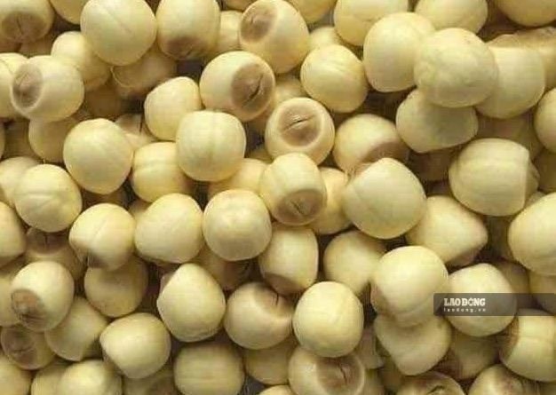 Nguyên nhân chính gây mất ngủ và cách xử lý