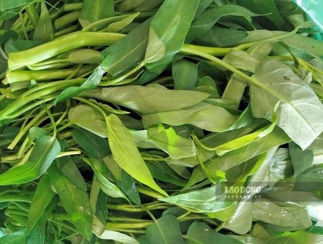 Loại rau quen thuộc tốt cho xương khớp lại hỗ trợ thải độc gan