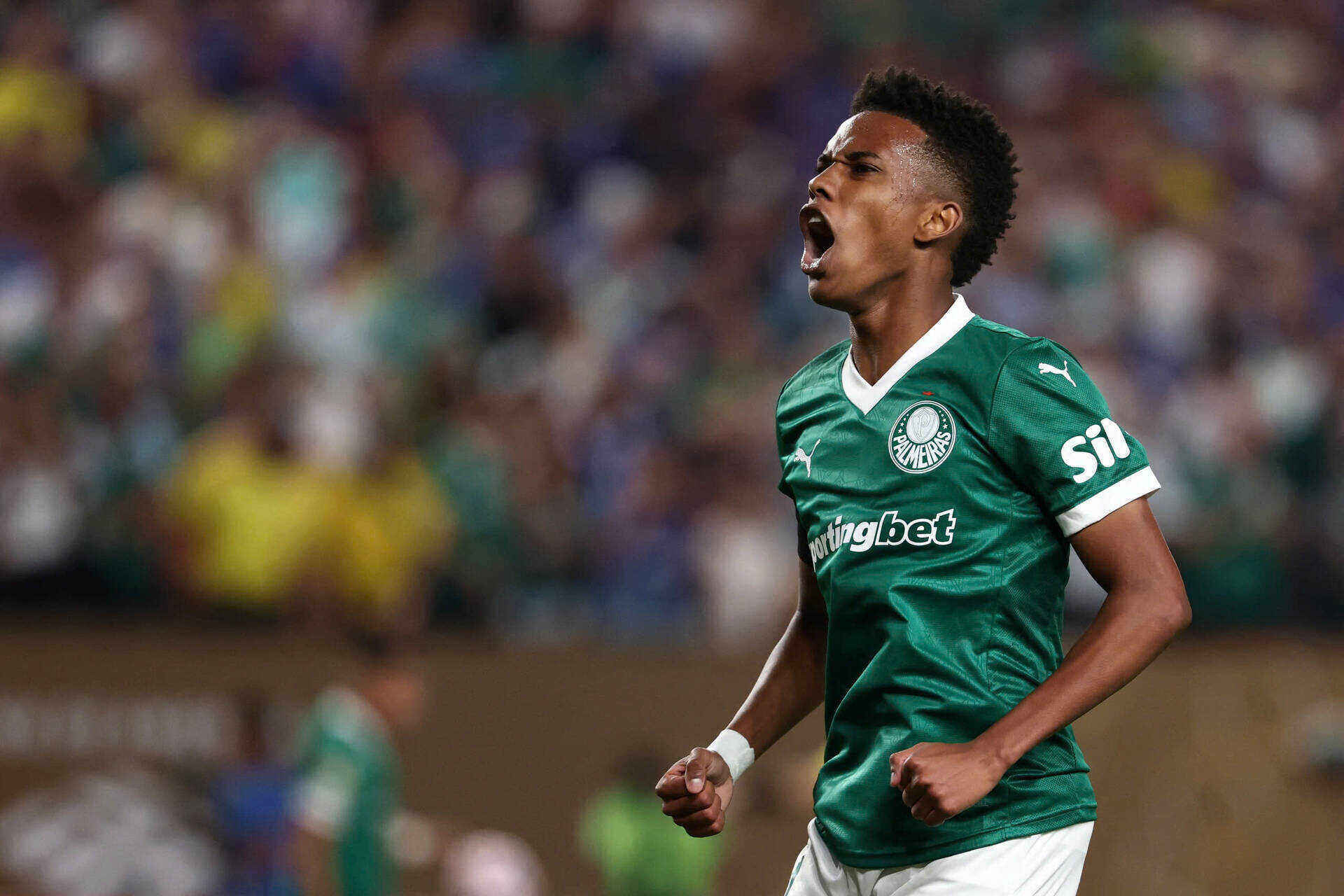 Palmeiras trong màu áo  Palmeiras tại quê nhà Brazil.  Ảnh: AFP